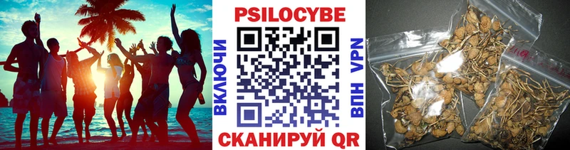 Купить  Холмск  Псилоцибиновые грибы ЛСД 
